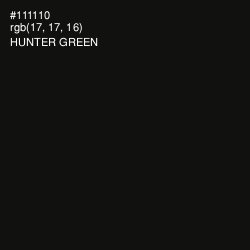 #111110 - Hunter Green Color Image